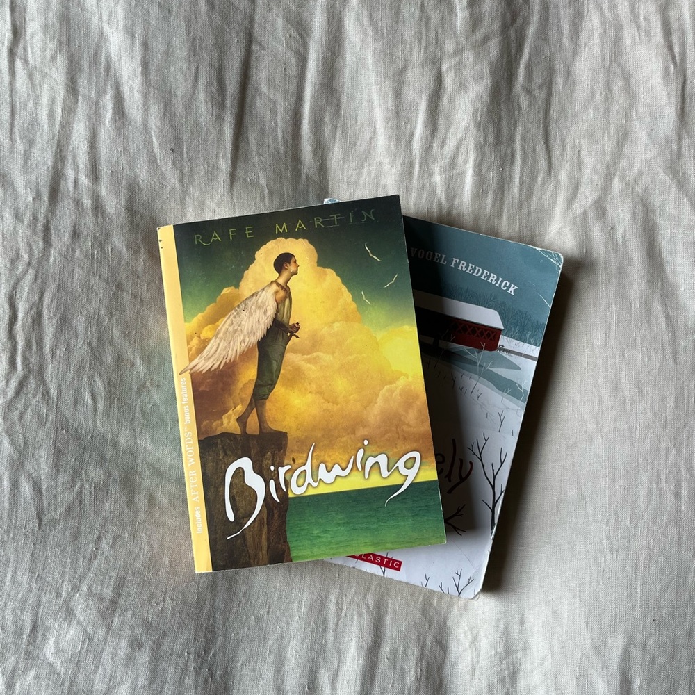 Mid/High Grade Book Bundle (Theme, Not Fitting in)